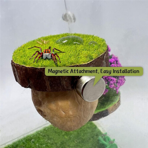 Jumping Spider Hideout, Magnetic Jumping Spider , Spider Climbing Platform, Handmade Spider Fence 2