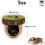 Jumping Spider Hideout, Magnetic Jumping Spider , Spider Climbing Platform, Handmade Spider Fence 7
