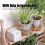 WIFI Hydroponic Equipment Intelligent Watering Device Double Pump Timed Automatic Drip Irrigation System 5