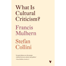 What Is Cultural Criticism by Stefan Collini Paperback Book