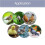 Egg Hatching DIY Incubator  Incubateur Controller Set DIY Egg Incubator with Temperature Control Chicken US Plug 5