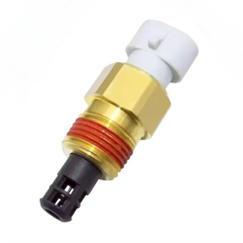 New Intake Air Charge Temperature Sensor for  Express     25037225 1