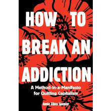 How to Break an Addiction by Annie Spencer Paperback Book