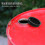 12Stk Universal 200L Fassverschluss Mit Dichtungsring 6