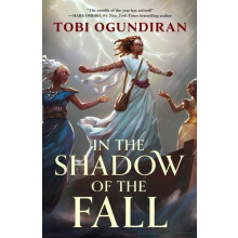 Guardians of the Gods In the Shadow of the Fall by Tobi Ogundrian Hard