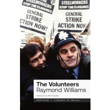 The Volunteers by Raymond Williams Paperback Book