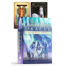 The Council of Horses Oracle by Kim McElroy Other Book