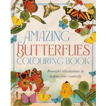 Amazing Butterflies Colouring Book by David Woodroffe Paperback Book