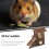 Multi-Étages En Bois Pour Hamster Rat Coffe 4