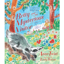 Betty and the Mysterious Visitor by Anne Twist Paperback Book