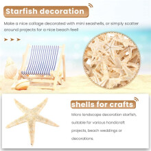 Piccolo Starfish Star Sea Shell Beach  da 0,4 Pollici a 1,2 Pollici 90 Pezzi