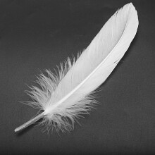 100pcs White Feathers for Party Hat Crafts Wedding Decoration 15-22cm
