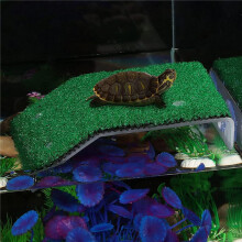 Plataforma para Tomar el para Tortugas CéSped Plataforma para Tomar el para Descansar para Tortugas, Rampa Tortuga de Hierba de SimulacióN