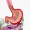 Human Digestive System Model Stomach Anatomy Large Intestine Cecum Rectum Duodenum Human Internal Organs Structure Model 3
