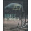 Ghost Stories Paperback Book 1