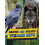 Ravens and Wolves Team Up by Stephanie True Peters Paperback Book 1