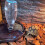 1Set Robuster Reptilien Wassernapf Und Futterhalter Aus Kunststoff 4
