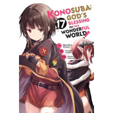 Konosuba Gods Blessing on This Wonderful World Vol. 17 manga by Rochel