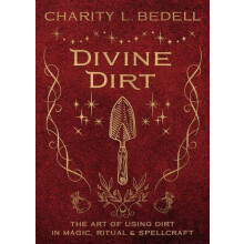 Divine Dirt by Charity L. Bedell Paperback Book