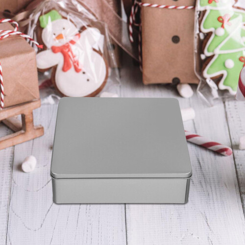 2 Pcs Storage Box Containers With Lids Metal Cookie Tin Cake Tins 2