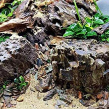 Grandes Branches de Bois Flotté Naturel Reptiles Aquarium Aquarium DéCoration de RéServoir de Poissons Cave Cachette Bois DéCor Bois Flotté