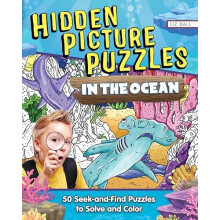 Hidden Picture Puzzles in the Ocean by Liz Ball Paperback Book