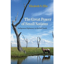 The Great Power of Small Nations by Elizabeth N. Ellis Paperback Book