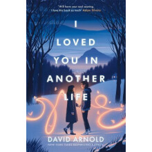 I Loved You In Another Life by David Arnold Paperback Book