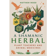 A Shamanic Herbal by Matthew Wood Paperback Book