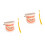 2Ensembles Outils Pédagogiques Dents Enfant ABS Teaching 5