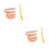 2Ensembles Outils Pédagogiques Dents Enfant ABS Teaching 7