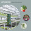 2Pcs Compact Green Wall-Mounted Plant Growth Bags Breathable 5