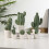 12Pcs Assorted Ceramic Bonsai Desktop Ornament Green Table Decoration 10