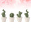 12Pcs Assorted Ceramic Bonsai Desktop Ornament Green Table Decoration 11