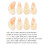 8Pcs Orange ABS Guzheng Nails Finger Picks Durable Protective Covers 2