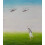 Francis Alys Hardcover Book 1