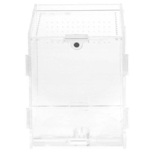 4Pcs Clear Acrylic Pet Reptile Cases Easy Observing and Cleaning 2