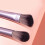 4St Roze Make-Up Kwastenset Oogschaduw En Foundation Brush 4