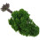 3Pcs Green Miniature Trees for Crafts Plastic Wire Model Diorama Decor 2