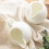 4Pcs White Ceramic Coffee Milk Jugs Small Creamers with Handle 5
