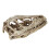 2St Wit Resin Dinosaurusschedel Model Voor En Decoratie 1