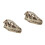 2St Wit Resin Dinosaurusschedel Model Voor En Decoratie 8