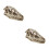 2St Wit Resin Dinosaurusschedel Model Voor En Decoratie 9