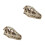 2St Wit Resin Dinosaurusschedel Model Voor En Decoratie 4