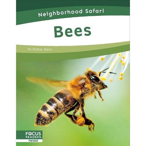 Bees by Dalton Rains Hardcover Book