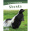 Skunks by Dalton Rains Hardcover Book 1