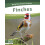 Finches by Dalton Rains Hardcover Book 1