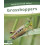 Grasshoppers by Dalton Rains Hardcover Book 1
