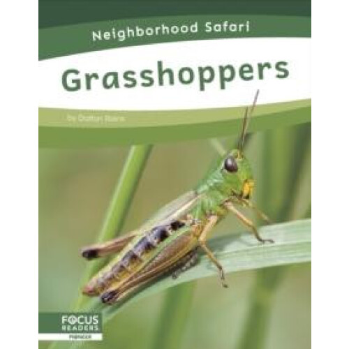 Grasshoppers by Dalton Rains Hardcover Book