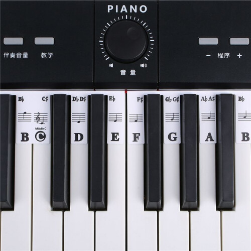 61 Key Removable Piano Keyboard Stickers Stave Notation Note Strip Stickers for Beginners Students 2